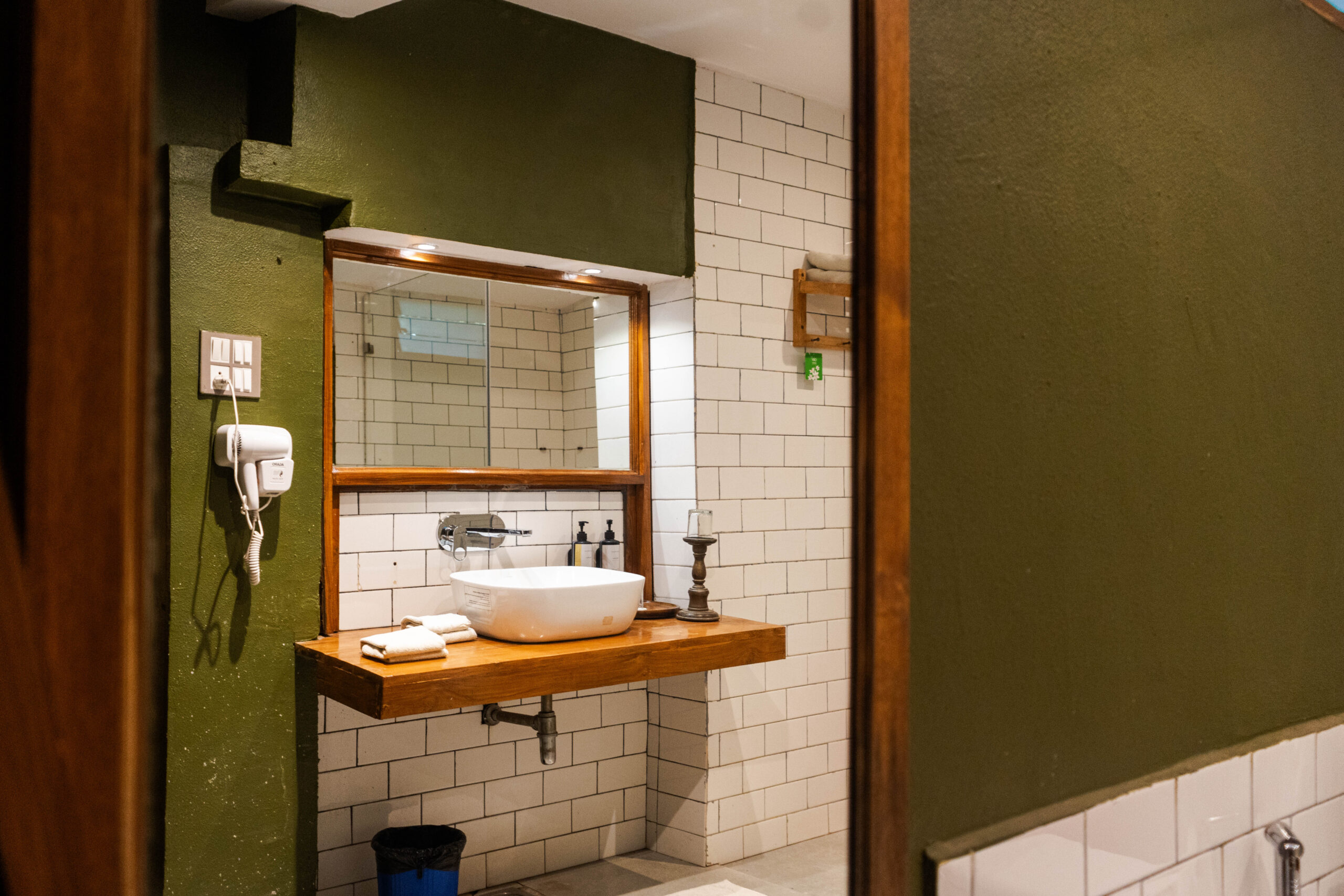 Deluxe Suit washroom