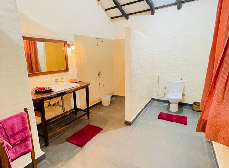 Ground nest bathroom