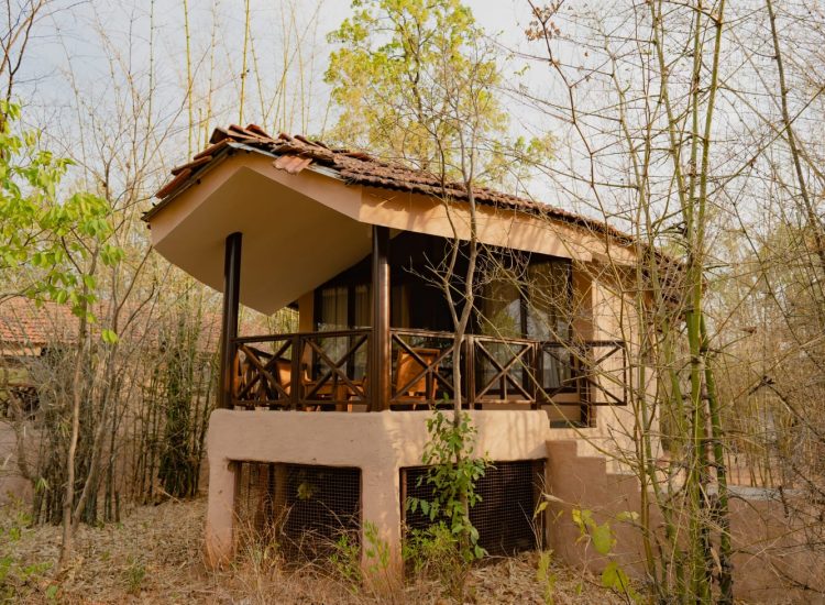 High nest view