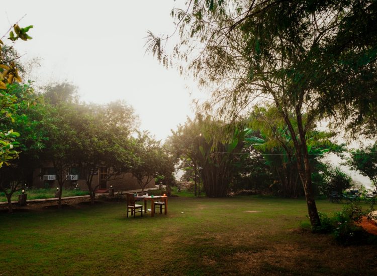 Lawn Greetoe Camp Panna